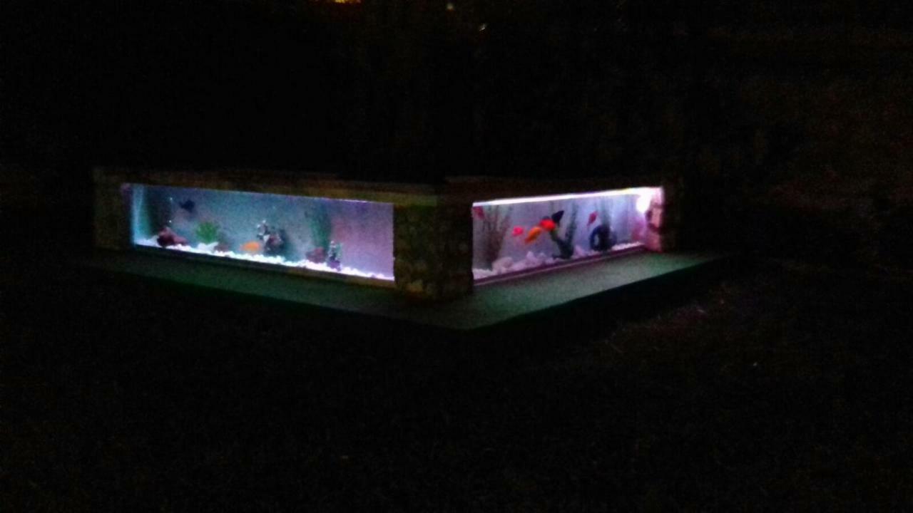 Apartment Golubica 2 玛里纳 外观 照片